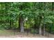 Fenced backyard with mature trees provides privacy and a serene natural setting at 2990 Cove Crossing Dr, Lawrenceville, GA 30045