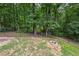 Lush backyard features a stone fire pit and wooded surroundings, framed by a black fence at 2990 Cove Crossing Dr, Lawrenceville, GA 30045