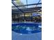 Enclosed in-ground pool featuring a sun umbrella, clear water, and lush landscaping at 704 Kenton Ct, Locust Grove, GA 30248