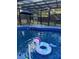 Above-ground pool with clear blue water, privacy screen, and outdoor seating at 704 Kenton Ct, Locust Grove, GA 30248