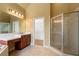 Bright primary bathroom featuring a walk in shower, vanity, and lots of natural light at 203 Crescent Moon Way Way, Canton, GA 30114