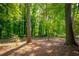 Large backyard shaded by mature trees, offering a private and serene outdoor space at 1671 Drayton Woods Dr, Tucker, GA 30084