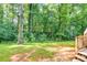 Spacious backyard with vibrant green grass and a lush, wooded backdrop at 241 Tweed Ct, Sugar Hill, GA 30518