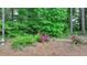 Beautifully landscaped garden featuring colorful flowers and lush greenery at 1818 Mcconnell Rd, Grayson, GA 30017