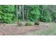 Scenic backyard landscaping with mature trees, flowers, and serene seating area for relaxation at 1818 Mcconnell Rd, Grayson, GA 30017
