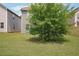 Backyard view of large mature tree, lush green grass, and wooden fence at 2493 Oakleaf Rdg, Lithonia, GA 30058