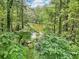A tranquil view of a serene pond surrounded by lush greenery and mature trees at 415 Haven Ln, Marietta, GA 30066