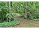 Wooded area with bridge to explore at 415 Haven Ln, Marietta, GA 30066