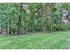 Lush backyard with mature trees offering ample shade and natural beauty at 1610 Windsong Park Dr, Dacula, GA 30019