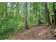 Lush backyard featuring mature trees and a peaceful setting, offering a private and serene outdoor space at 1310 Chilton Woods Rd, Rutledge, GA 30663