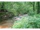 Scenic creek flowing through the property, adding natural beauty and a tranquil ambiance to the surroundings at 1310 Chilton Woods Rd, Rutledge, GA 30663
