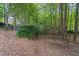 Tranquil backyard with a wooden swing and mature trees at 2722 Brookhaven Ln, Buford, GA 30518
