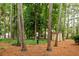 Dog park surrounded by trees, offering a safe and enjoyable area for pets and owners at 3777 Peachtree Ne Rd # 1112, Brookhaven, GA 30319