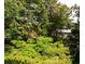 Overgrown view of neighborhood through mature trees at 2734 Peachtree Nw Rd # C-404, Atlanta, GA 30305