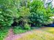 Lush wooded area with walking path offering a private and serene outdoor experience at 1183 Iron Gate Blvd, Jonesboro, GA 30238
