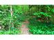 Lush greenery featuring foliage and a walking path, creating a tranquil outdoor setting at 1183 Iron Gate Blvd, Jonesboro, GA 30238