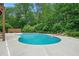 Lush landscaping and an in-ground pool create a private backyard retreat at 1012 Chestnut Creek Dr, Villa Rica, GA 30180