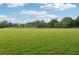 Expansive grassy field perfect for recreation and outdoor activities at 218 South Se Ave, Atlanta, GA 30315