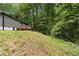 Gently sloping backyard leading to a wooded area offering a blend of open space and natural beauty at 1010 Martin Ln, Canton, GA 30114