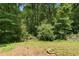 A view of a serene backyard surrounded by lush greenery, offers privacy and a connection with nature at 1010 Martin Ln, Canton, GA 30114