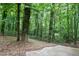 Lush green backyard with mature trees, foliage, and a concrete patio area perfect for outdoor enjoyment at 3025 Mountain Creek Ne Ct, Roswell, GA 30075