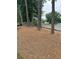 Wooded backyard with mature trees provides privacy at 3381 Walkers Ridge Rd, Dacula, GA 30019
