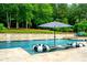 A backyard pool featuring deck loungers, umbrellas, and decorative elements, surrounded by lush greenery and mature trees at 5963 Wild River Vw, Sugar Hill, GA 30518