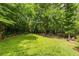 Expansive backyard surrounded by mature trees, offering privacy and ample space for outdoor activities at 956 Clifton Ne Rd, Atlanta, GA 30307