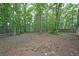 A spacious and private backyard surrounded by tall trees, providing a serene and natural setting at 7156 Whitfield Drive Dr, Riverdale, GA 30296