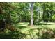 Relax in the serene backyard oasis, featuring mature trees, lush greenery and a quiet atmosphere at 170 Mayfield Cir, Alpharetta, GA 30009