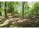 Spacious backyard with mature trees and plenty of shade, offering a peaceful outdoor space at 170 Mayfield Cir, Alpharetta, GA 30009