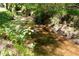 Backyard creek with clear water, lush greenery, and natural beauty, perfect for relaxation at 170 Mayfield Cir, Alpharetta, GA 30009