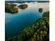 Scenic lake view surrounded by lush green trees providing a tranquil and picturesque setting at 6520 Pond View Dr, Cumming, GA 30028