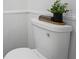 A toilet in a bathroom with wainscotting and a decorative plant on the tank at 3345 Bomar Rd, Douglasville, GA 30135