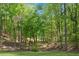 Green grass and trees in serene backyard setting with a glimpse of a pond at 3402 Johnson Ferry Rd, Roswell, GA 30075