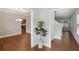 Inviting hallway with wood-look flooring, modern gray walls, and a decorative houseplant at 4546 Water Mill Dr, Buford, GA 30519