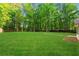Lush backyard with mature trees and a well-maintained lawn offers privacy and space at 76 Barrington Farms Pkwy, Sharpsburg, GA 30277