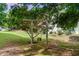 Swing in the backyard hanging from a tree on a beautiful lot at 6302 Manassas Nw Pass, Acworth, GA 30101