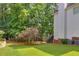 Green backyard with fencing and lovely foliage surrounding house at 6302 Manassas Nw Pass, Acworth, GA 30101