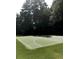 Community basketball court with lush green grass and mature trees in the background at 5396 Turnbill Nw Pt, Acworth, GA 30101