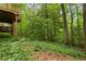 Picturesque backyard with mature trees and natural landscaping, offering privacy and tranquility at 217 Millbrook Farm Rd, Marietta, GA 30068