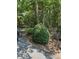 Residential lot shows mature trees and potential homesite at 2901 Briscoe Rd, Loganville, GA 30052