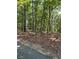 Heavily wooded lot shows the potential for a private home site at 2901 Briscoe Rd, Loganville, GA 30052