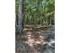 Beautiful wooded land, perfect for building your dream home in a serene and private setting at 2901 Briscoe Rd, Loganville, GA 30052