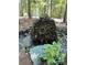 Picturesque outdoor space featuring a tiered stone water feature and lush greenery, creating a tranquil ambiance at 2901 Briscoe Rd, Loganville, GA 30052