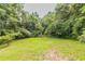 Large backyard with lush green grass and a line of trees at 2957 Browns Mill Se Rd, Atlanta, GA 30354