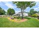 Landscaped back yard with mature tree, hammock and bench at 3065 Foxhall Overlook, Roswell, GA 30075
