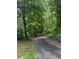 Picturesque walking path with a wooden bridge, surrounded by lush greenery and mature trees at 2630 Timler Trce, Snellville, GA 30078