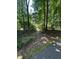 Scenic walking path offering a glimpse of the home nestled among lush trees and greenery at 2630 Timler Trce, Snellville, GA 30078