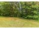 Picturesque view of a well-maintained lawn bordered by a dense forest at 6293 Silver Creek Ln, Austell, GA 30168